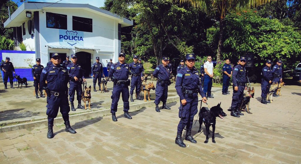 PNC asigna 16 Caninos para combatir el narcotráfico en El Salvador