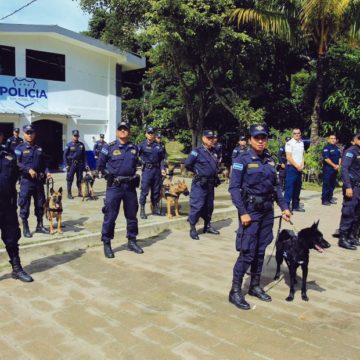 PNC asigna 16 Caninos para combatir el narcotráfico en El Salvador