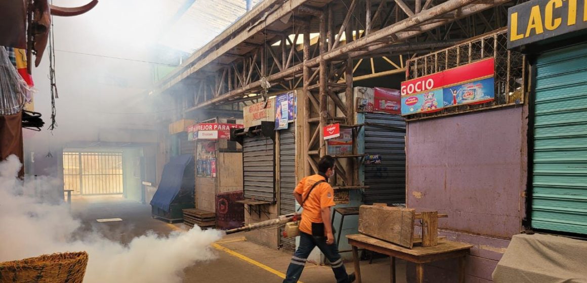 Jornadas de limpieza y fumigación en Santa Tecla