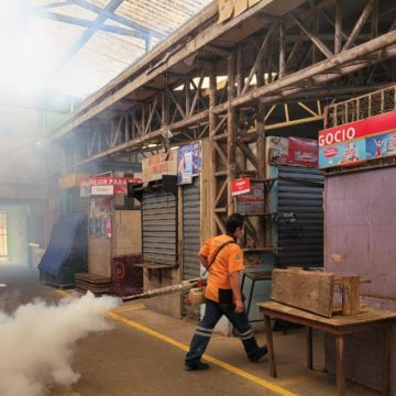 Jornadas de limpieza y fumigación en Santa Tecla