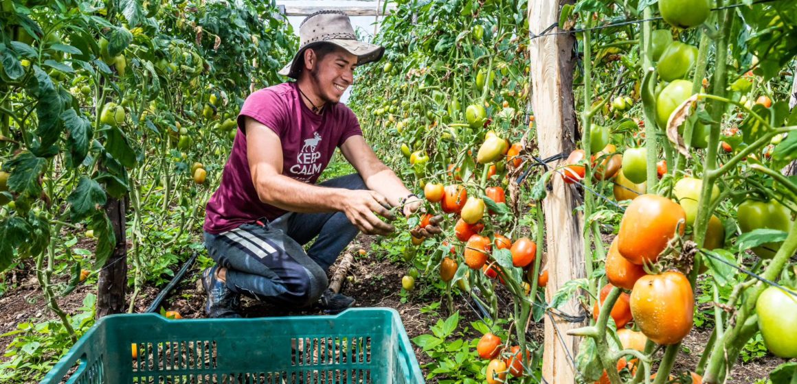 Agricultura sostenible del país es apoyada por Corea del Sur por $4.9 millones