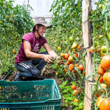 Agricultura sostenible del país es apoyada por Corea del Sur por $4.9 millones