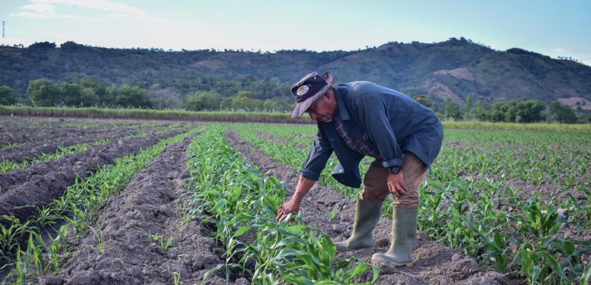 El Salvador en conjunto con la República popular China refuerzan el sector agrícola del país