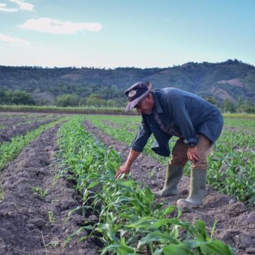 El Salvador en conjunto con la República popular China refuerzan el sector agrícola del país