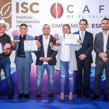Cafés de Metapán y Apaneca ganan concurso Taza de Excelencia 2024