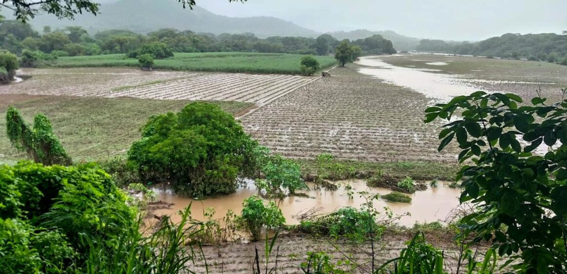 Estados Unidos donará al país $40,000 para seguridad alimentaria