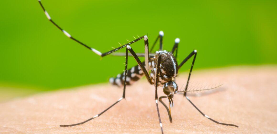 Salud confirma primera muerte por dengue en El Salvador durante 2024