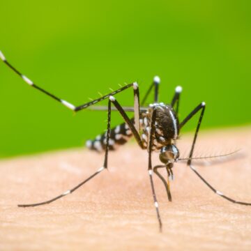 Salud confirma primera muerte por dengue en El Salvador durante 2024