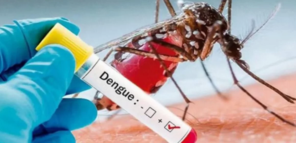 Salud reporta segundo fallecido por Dengue en El Salvador