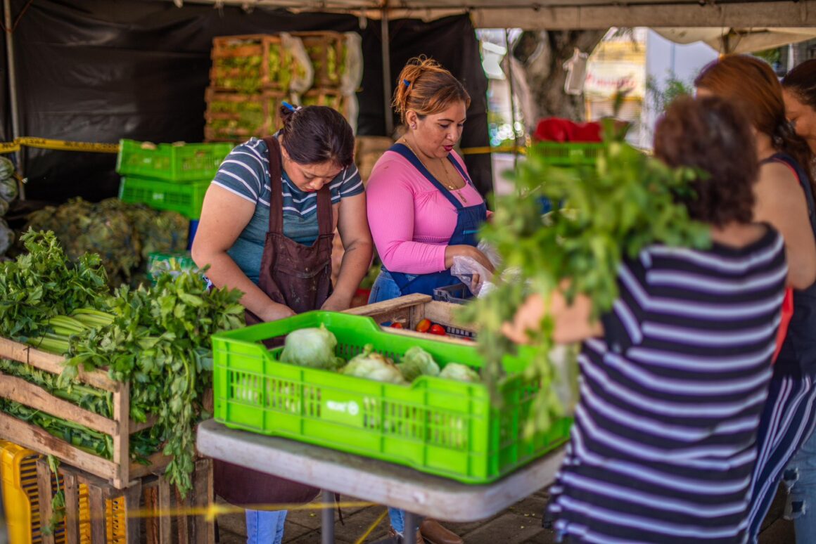 Nayib Bukele: Productores e importadores podrían bajar aún más los precios de las verduras y hortalizas