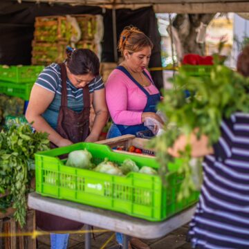 Nayib Bukele: Productores e importadores podrían bajar aún más los precios de las verduras y hortalizas