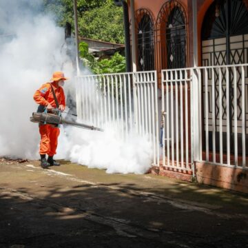 Gobierno, alcaldías, empresas y población se unen para combatir el dengue