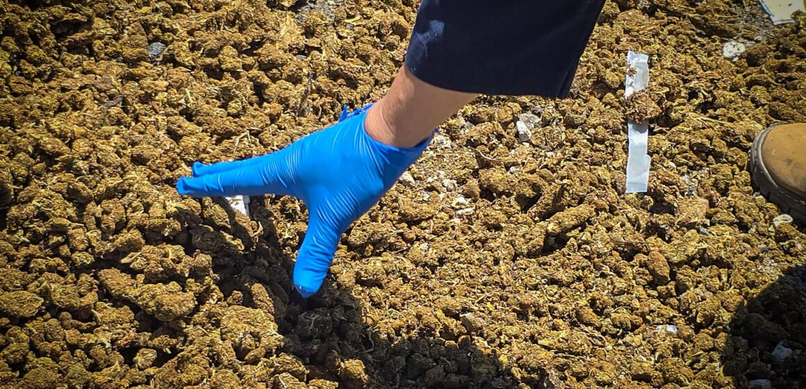 Destruyen droga incautada en 14 casos distintos