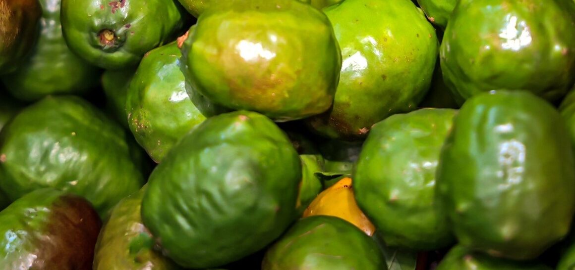 Feria del Jocote Corona 2025 llenará de sabor y tradición el Cerro Verde