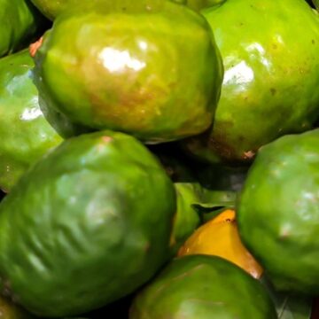 Feria del Jocote Corona 2025 llenará de sabor y tradición el Cerro Verde