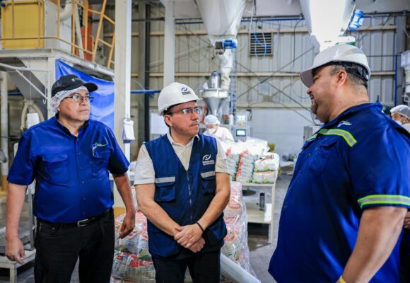 Defensoría del Consumidor investiga alza irregular en el precio del maíz