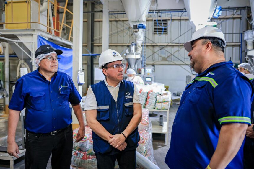 Defensoría del Consumidor investiga alza irregular en el precio del maíz