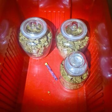 Capturan en Chalatenango a sujeto por tráfico de marihuana