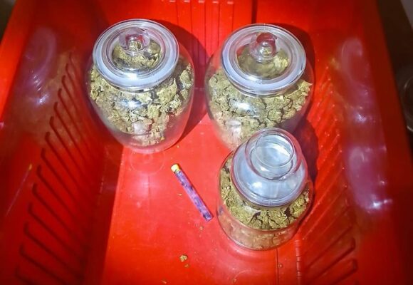 Capturan en Chalatenango a sujeto por tráfico de marihuana