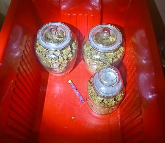 Capturan en Chalatenango a sujeto por tráfico de marihuana