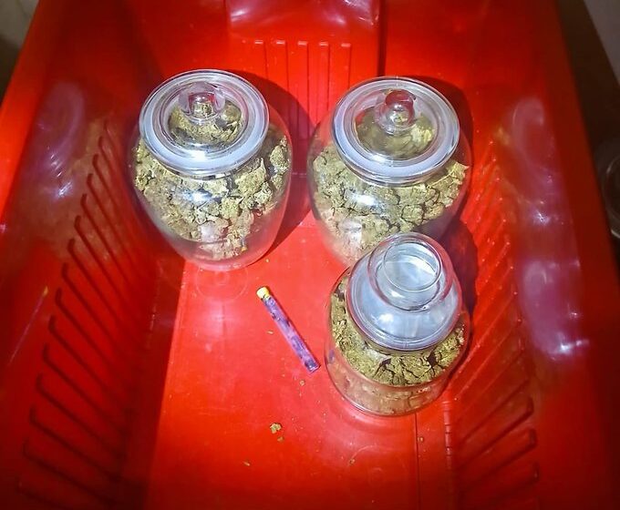 Capturan en Chalatenango a sujeto por tráfico de marihuana