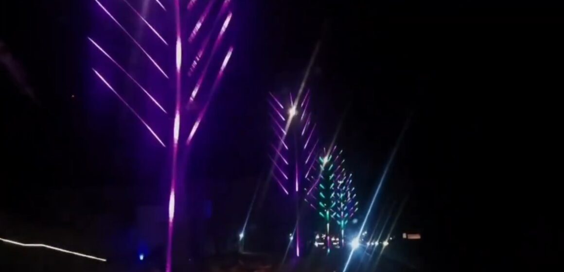 Santa Ana Oeste instala 41 “Palmeras de Qatar” con sistema de iluminación inteligente