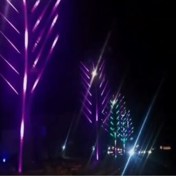 Santa Ana Oeste instala 41 “Palmeras de Qatar” con sistema de iluminación inteligente
