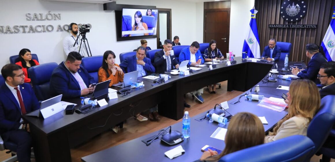 Continúa debate de reforma constitucional para dar representación directa a la diáspora en la Asamblea