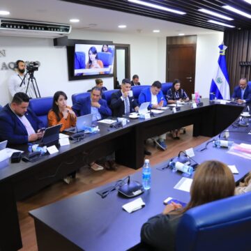 Continúa debate de reforma constitucional para dar representación directa a la diáspora en la Asamblea