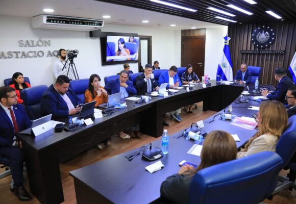 Continúa debate de reforma constitucional para dar representación directa a la diáspora en la Asamblea