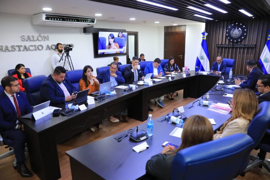 Continúa debate de reforma constitucional para dar representación directa a la diáspora en la Asamblea